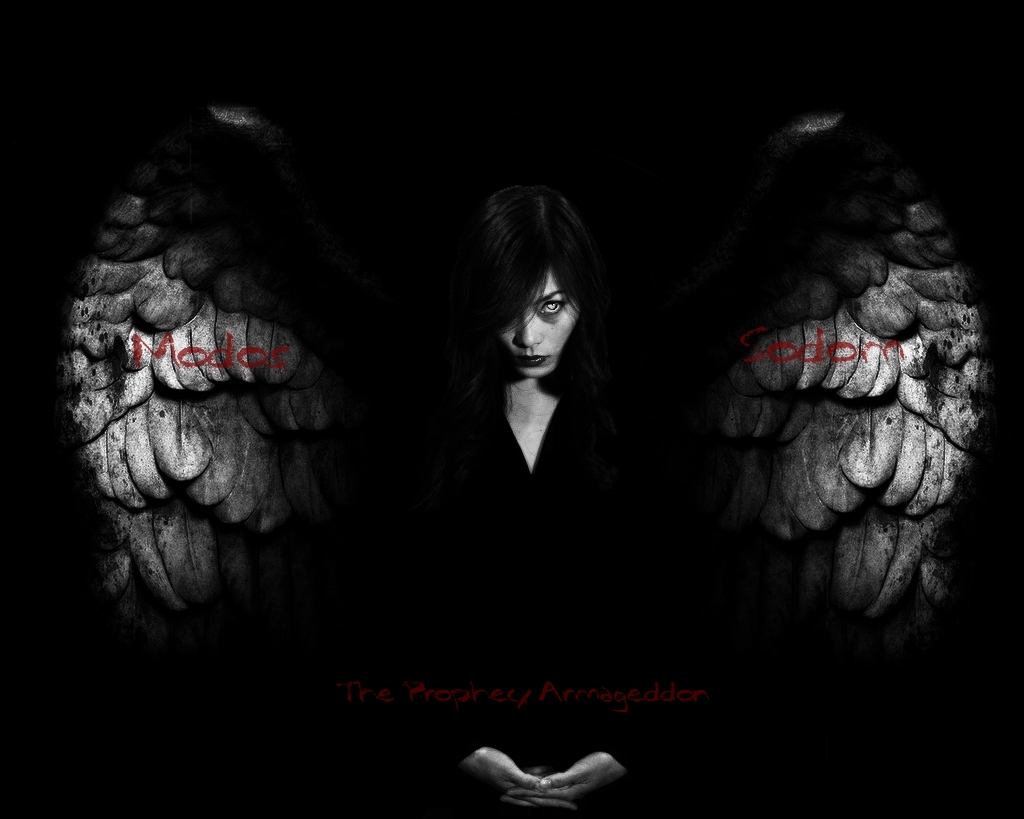 LUCIA-grey-angel-wings-black1 (1)